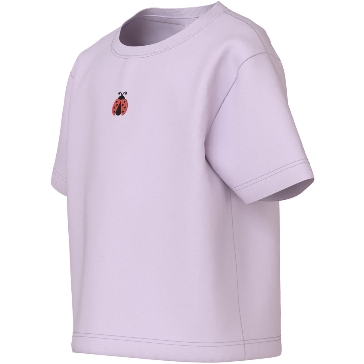 Name It Lavender Fog Ladybug Embroidery Nmfvictoria Ss Nreg Topp