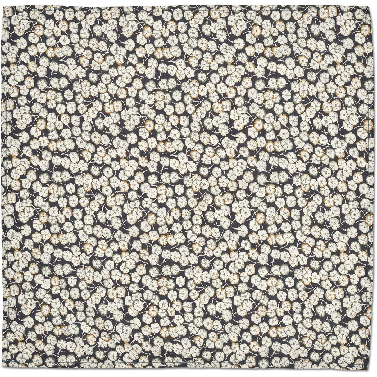 Lalaby SnowFlower Eddie Skjerf