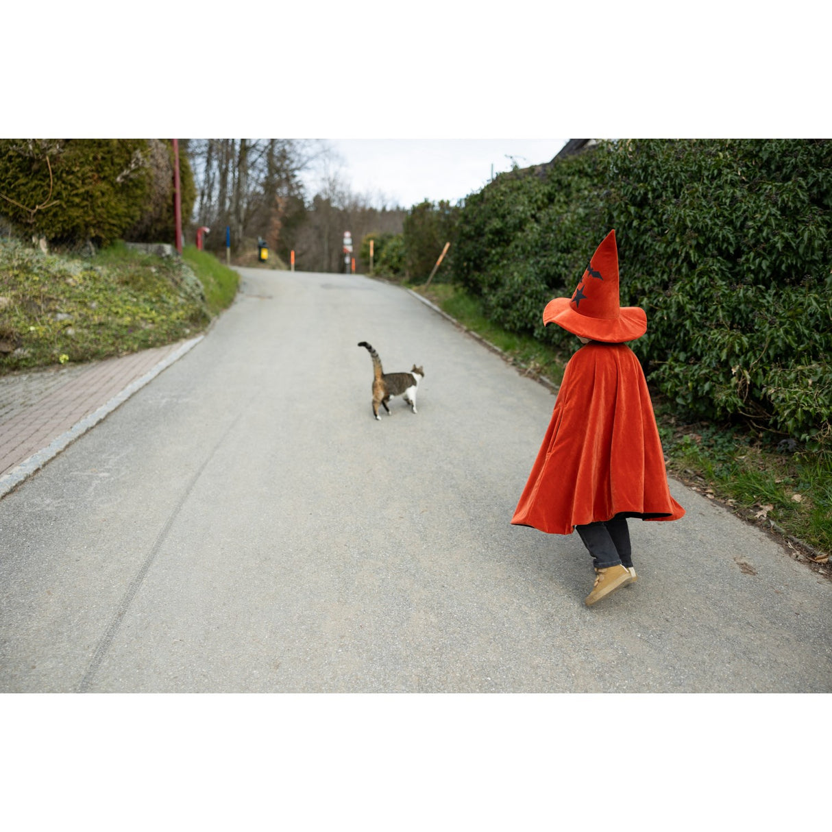 Great Pretenders Autum Embers Wizard Cape With Lue