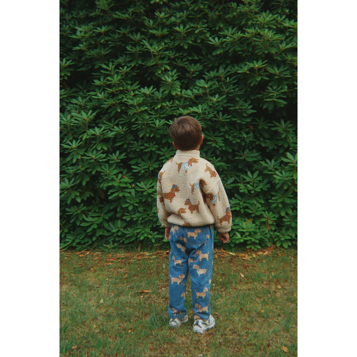 Konges Sløjd Bassotto Jody Teddybjørn Jakke Grs