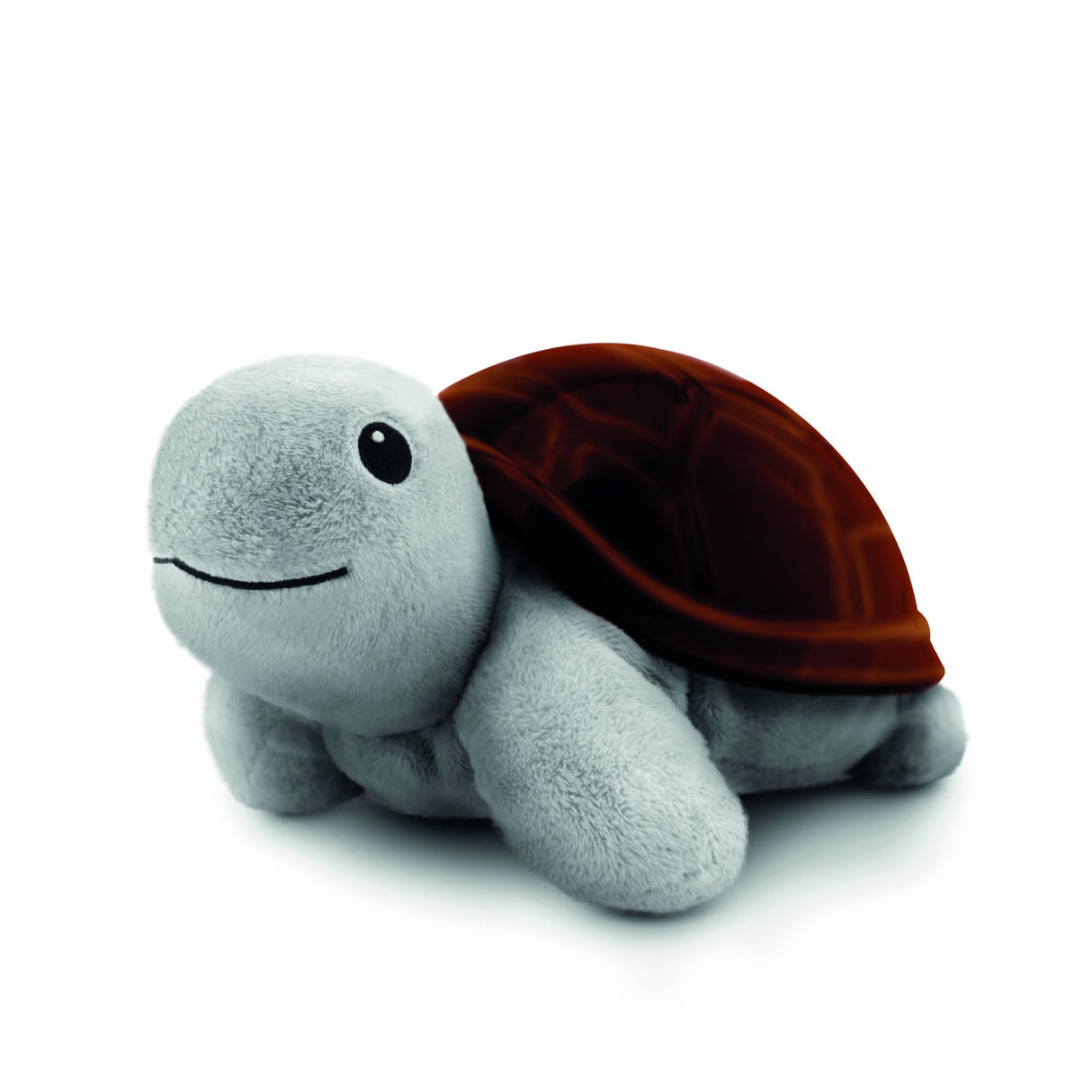 Zazu Brown Tim The Skilpadde Projector