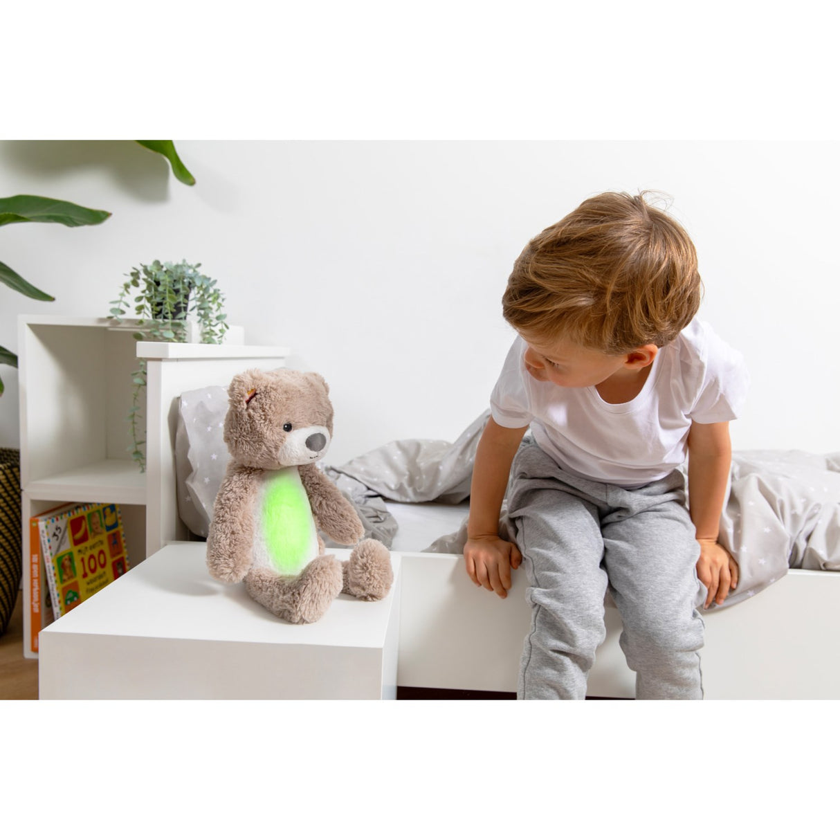 Zazu Brown Brody The Bjørn Søvntrener