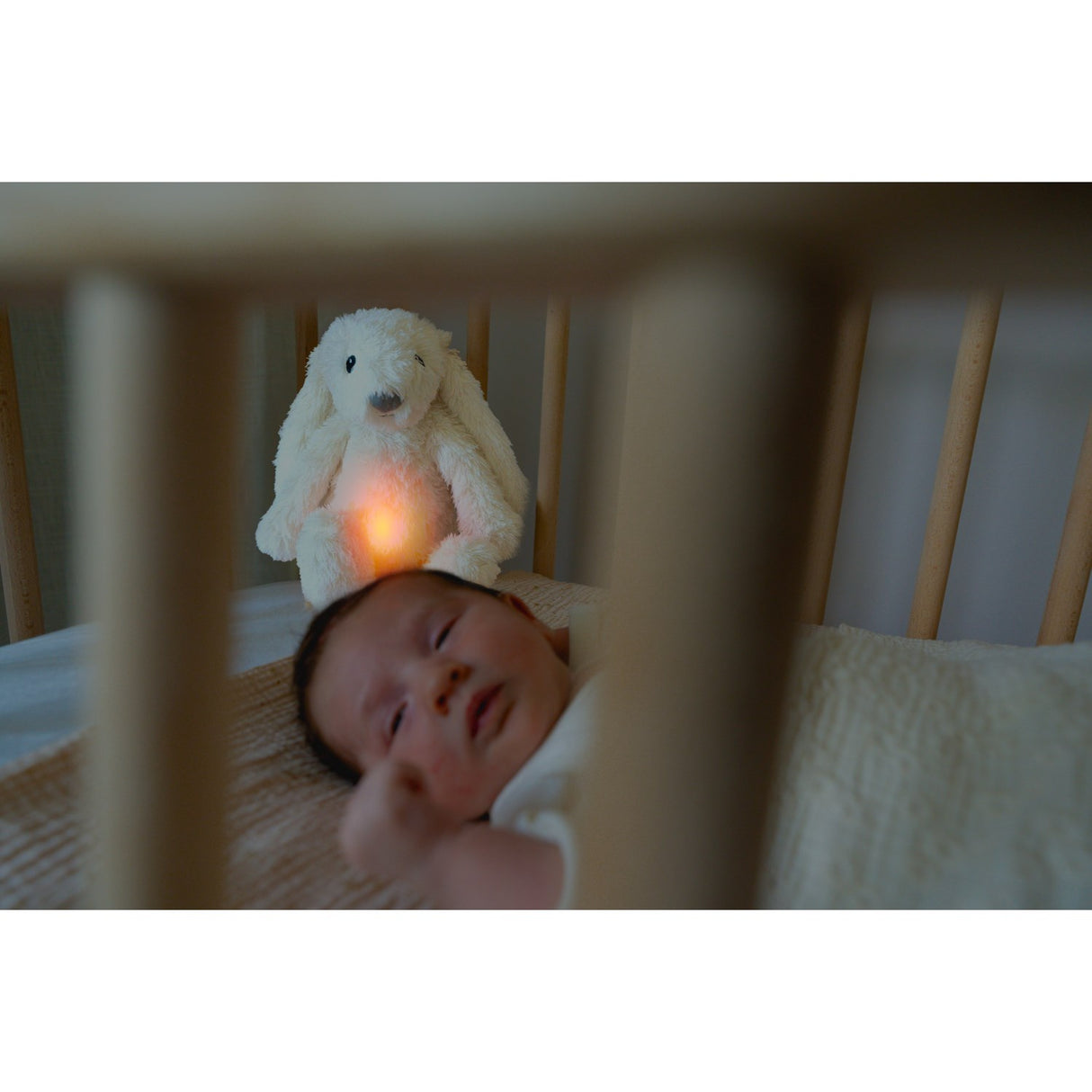 Zazu White Ro The Rabbit Nightlight
