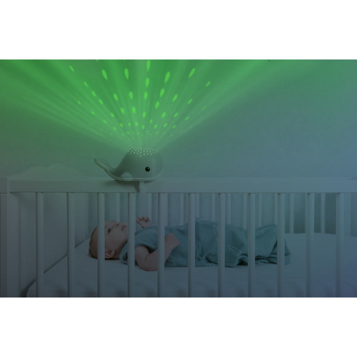 Zazu Grey Wally The Whale Projector