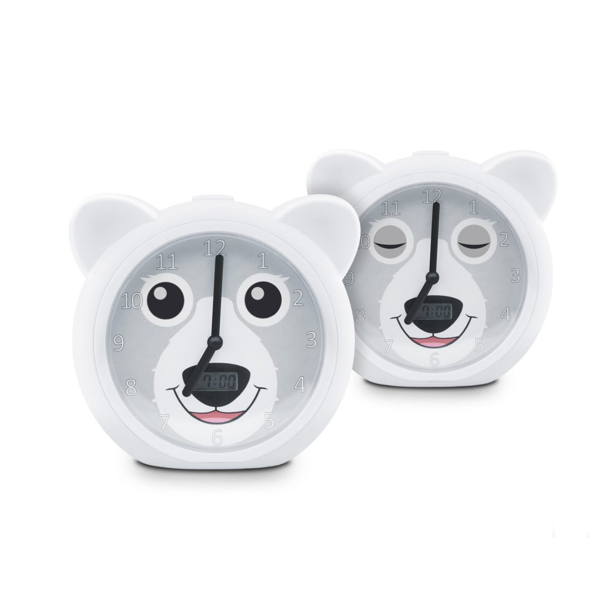 Zazu Grey Bobby The Bjørn Søvntrener