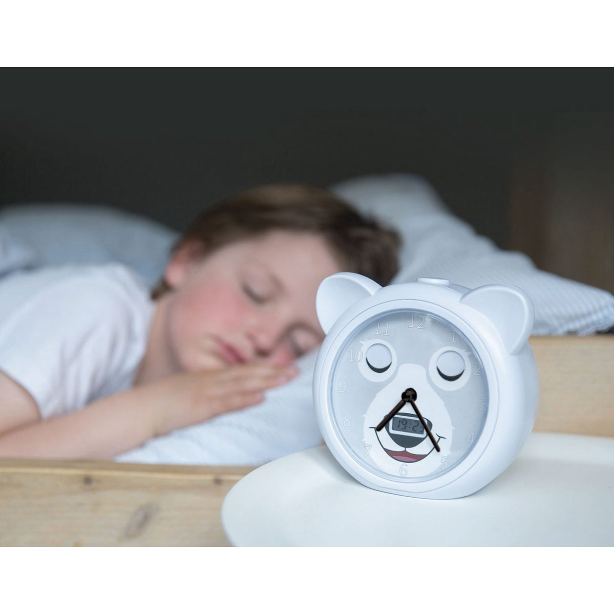 Zazu Grey Bobby The Bjørn Søvntrener