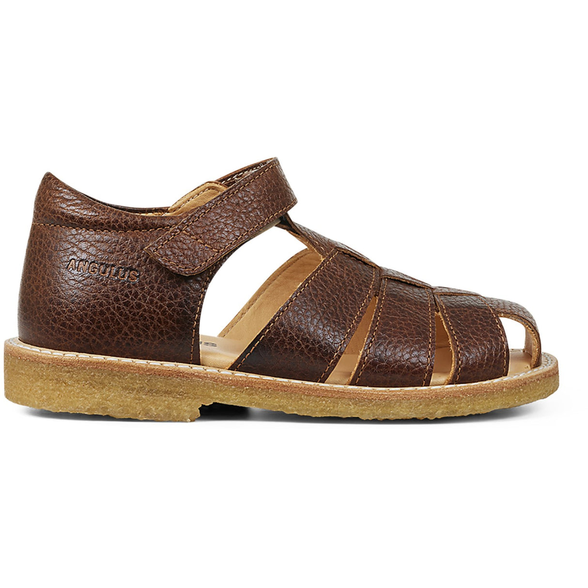 Angulus Sandal M. Borrelås Mellembrun