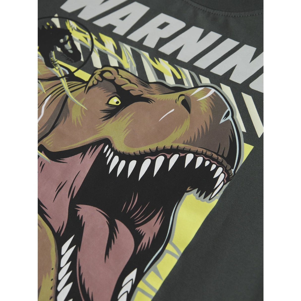 Name It Urban Chic Nmmjim Jurassic Ls Nreg Topp Box Noos Sky