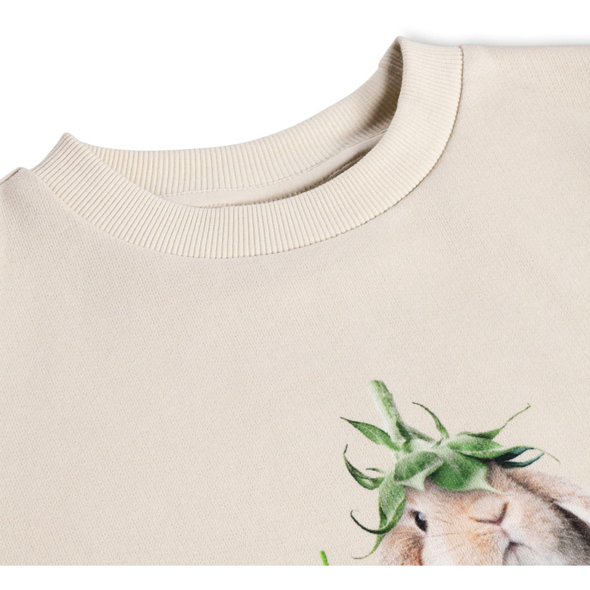 Molo Photobooth Maxi Collegegenser