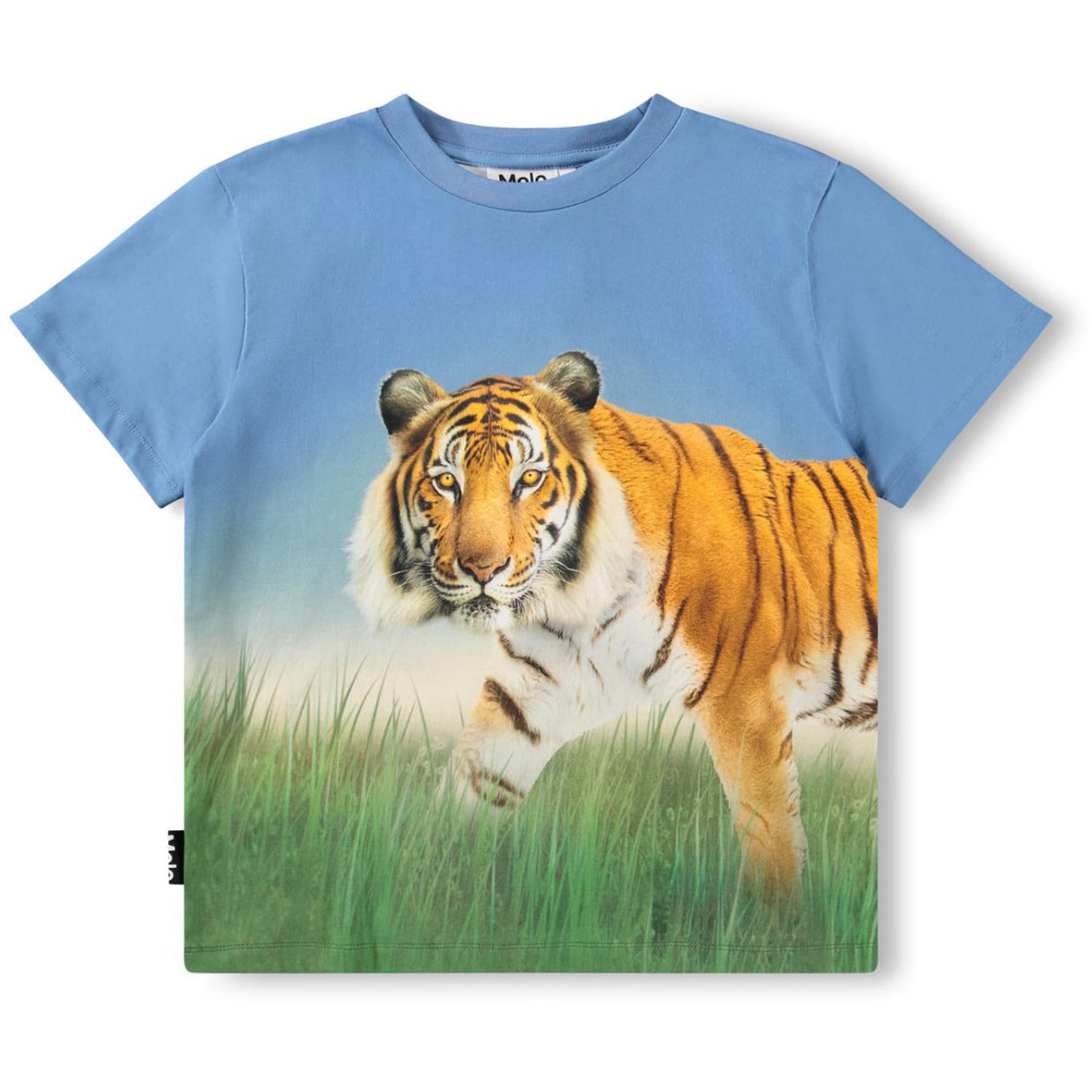 Molo Tiger On Blue Rubin T-Shirt