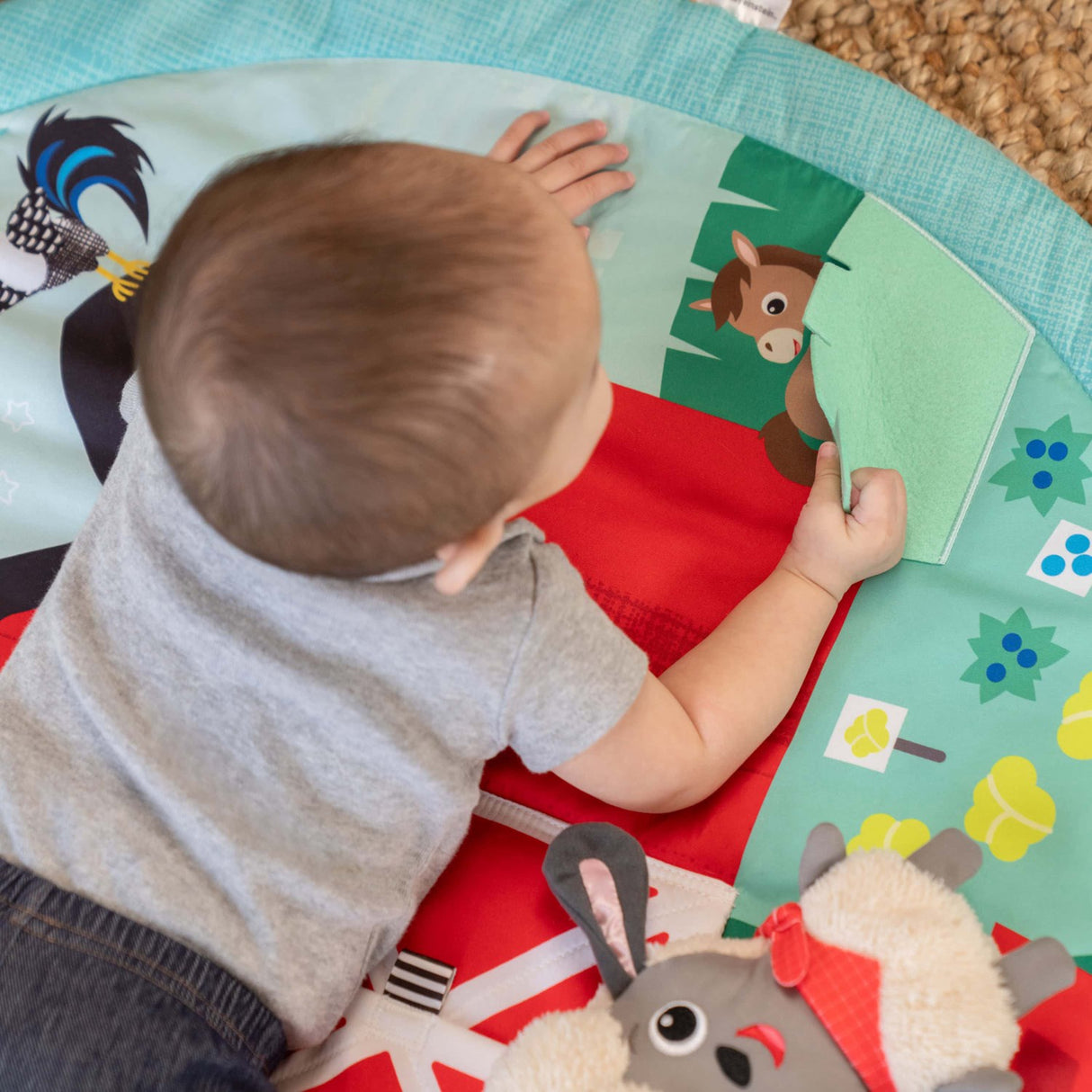 Baby Einstein Happy Harvest™ Touch & Feel Activity Gym