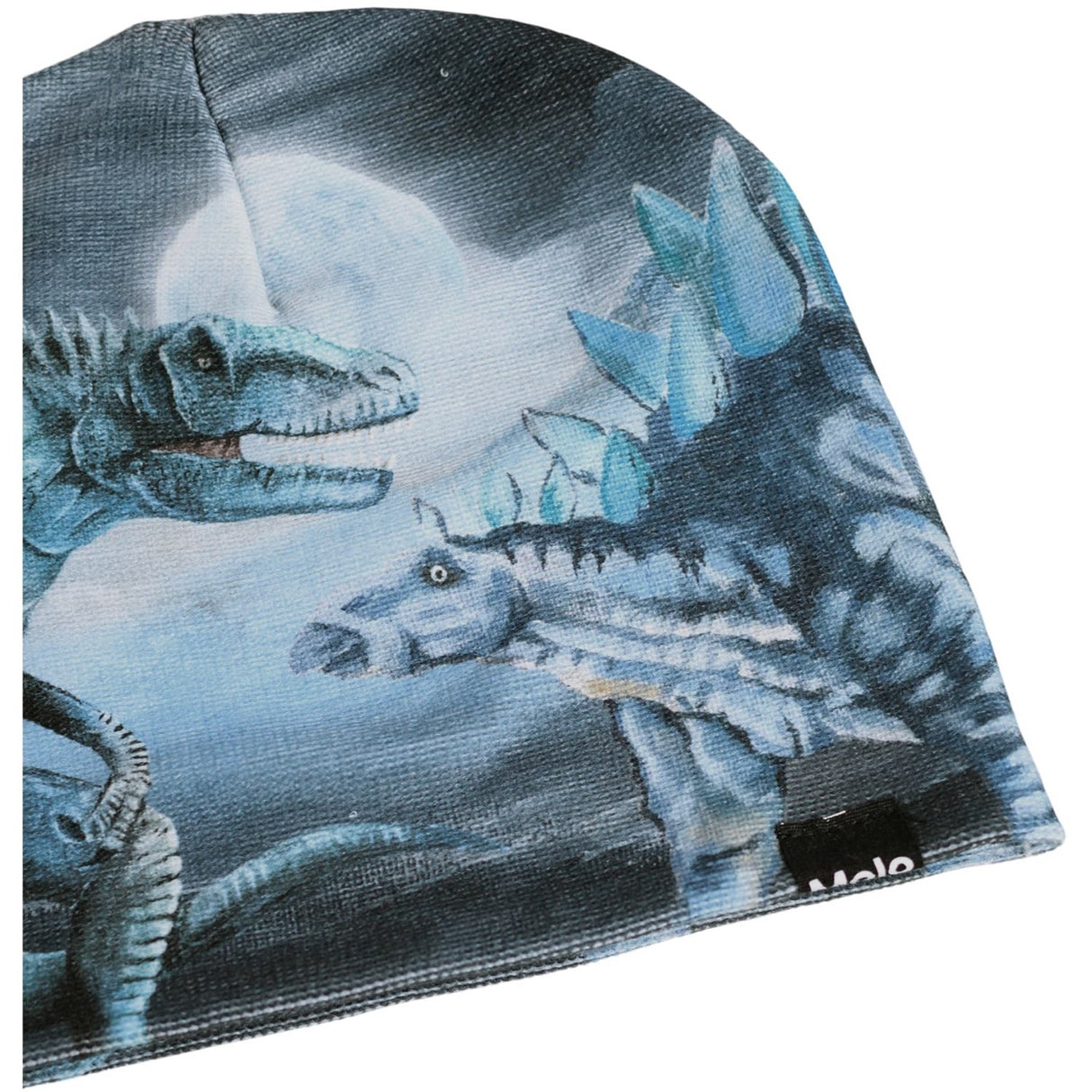 Molo Arty Dinos Kaya Outerwear Sett