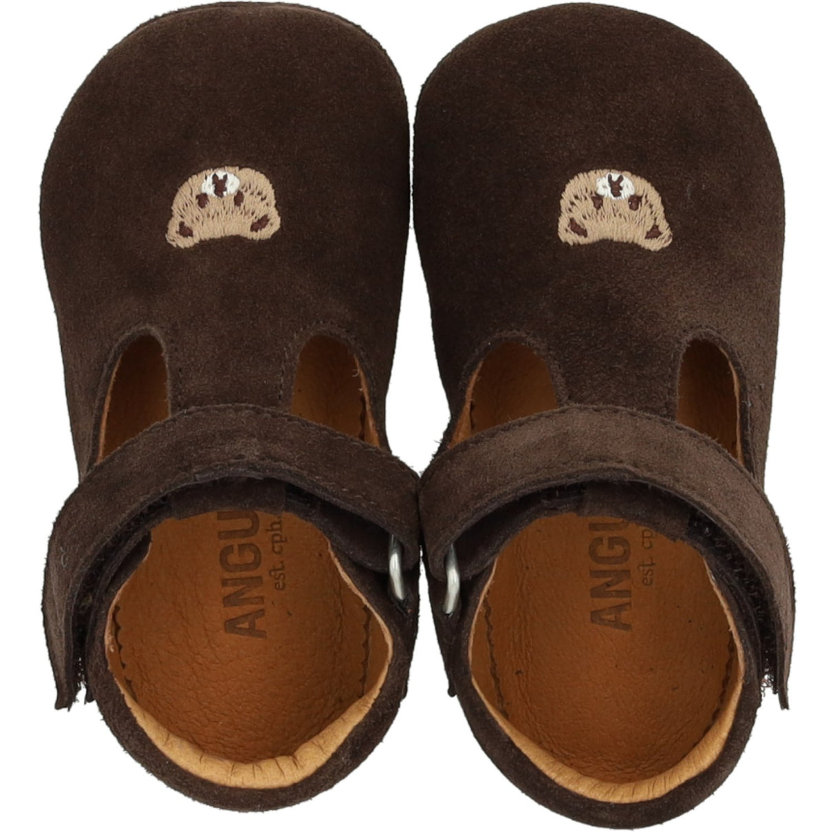 Angulus Dark Brown Prewalker Med Bamsebroderi