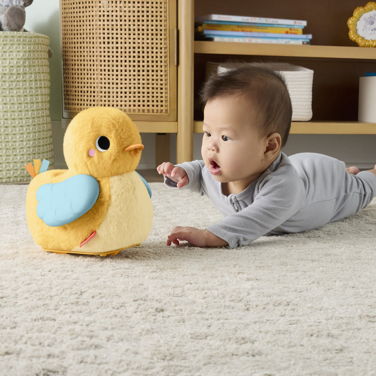 Fisher-Price® Flap & Follow Duck
