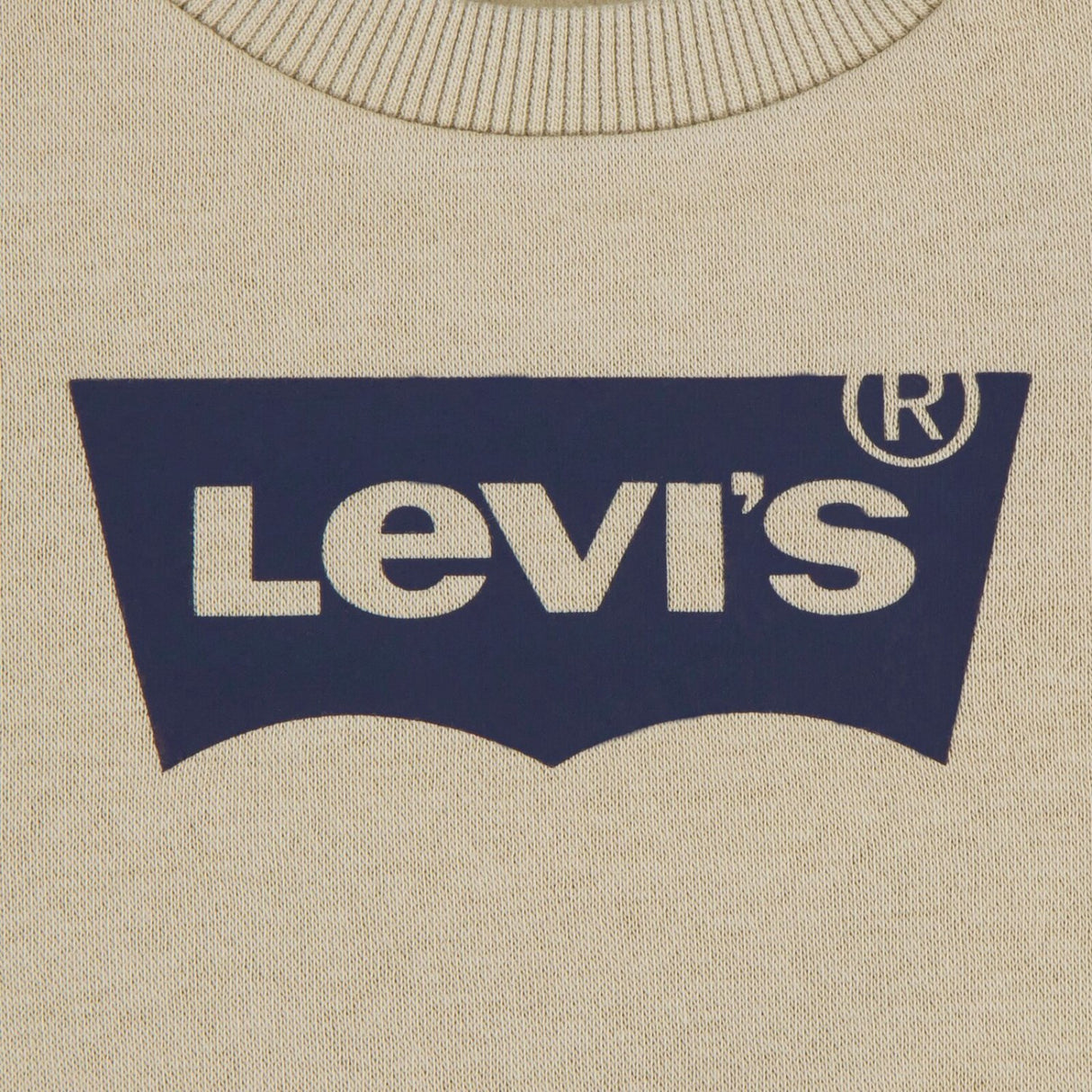 Levi's Fields Of Rye Batwing Crew