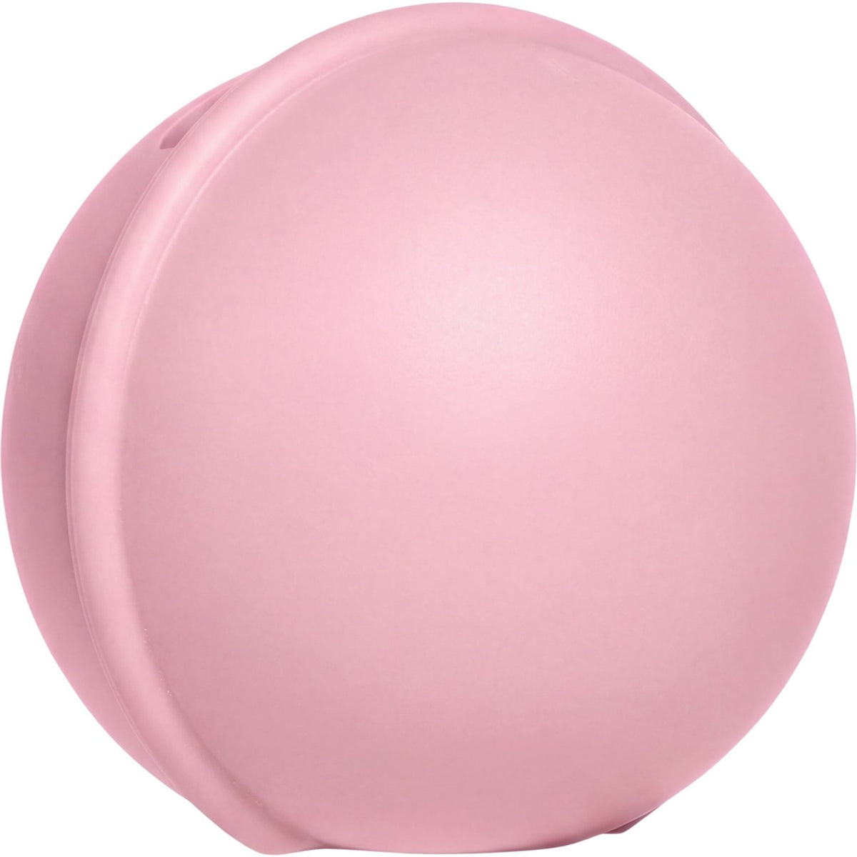 Bibs Baby Pink Smokk Case Mini
