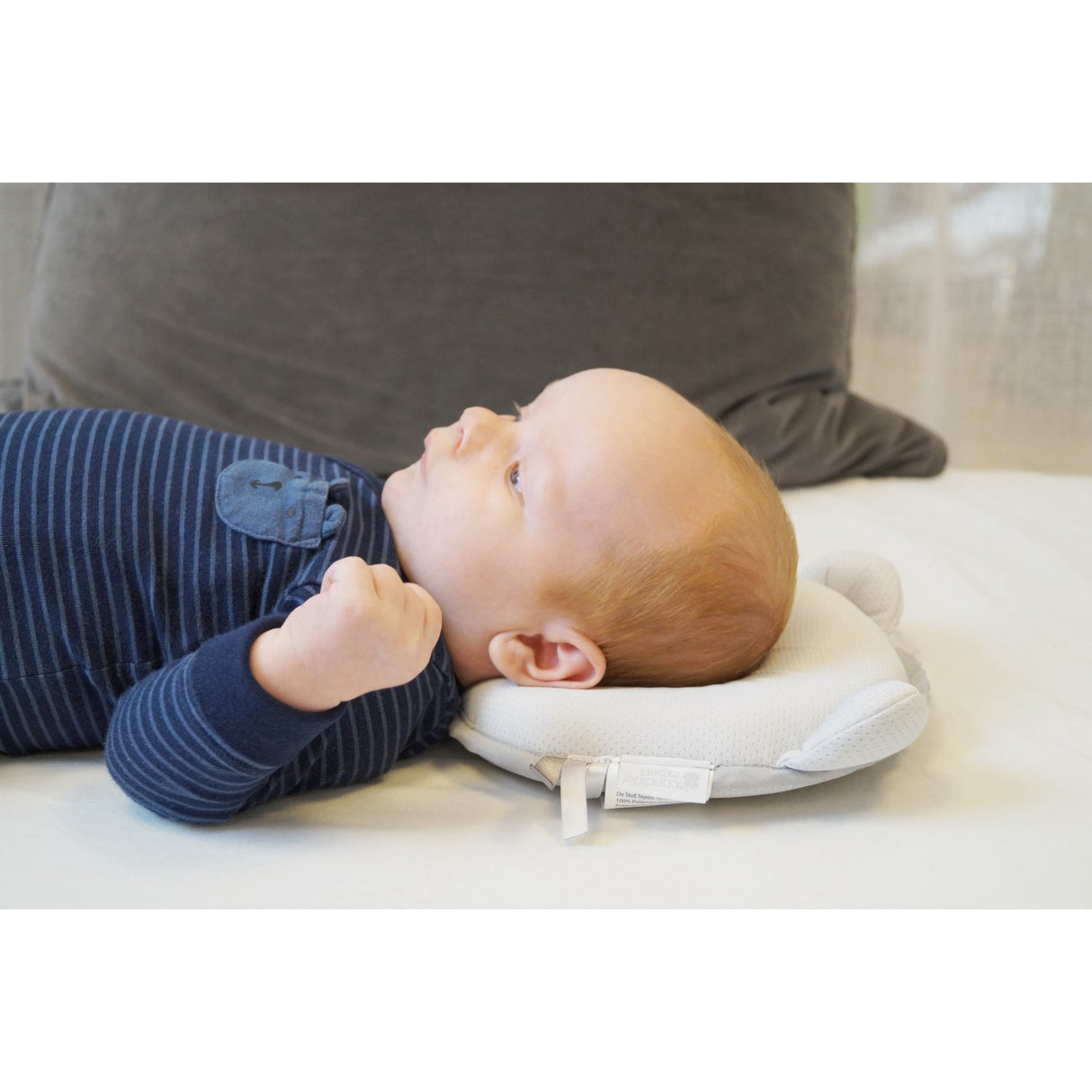 Candide Grey Panda Baby Pute Air