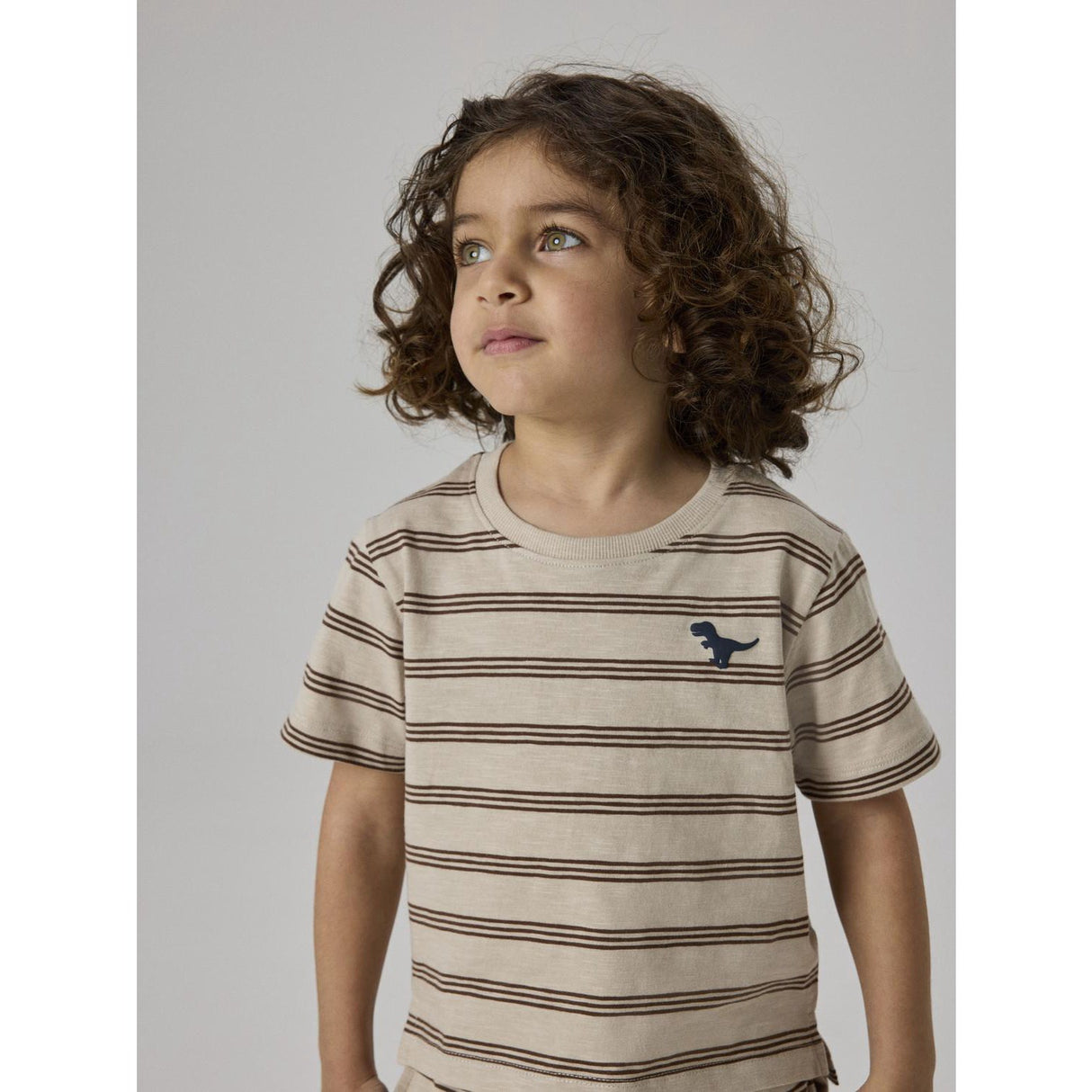 Name It Chateau Gray Chestnut Nmmvoby Ss Nreg Topp