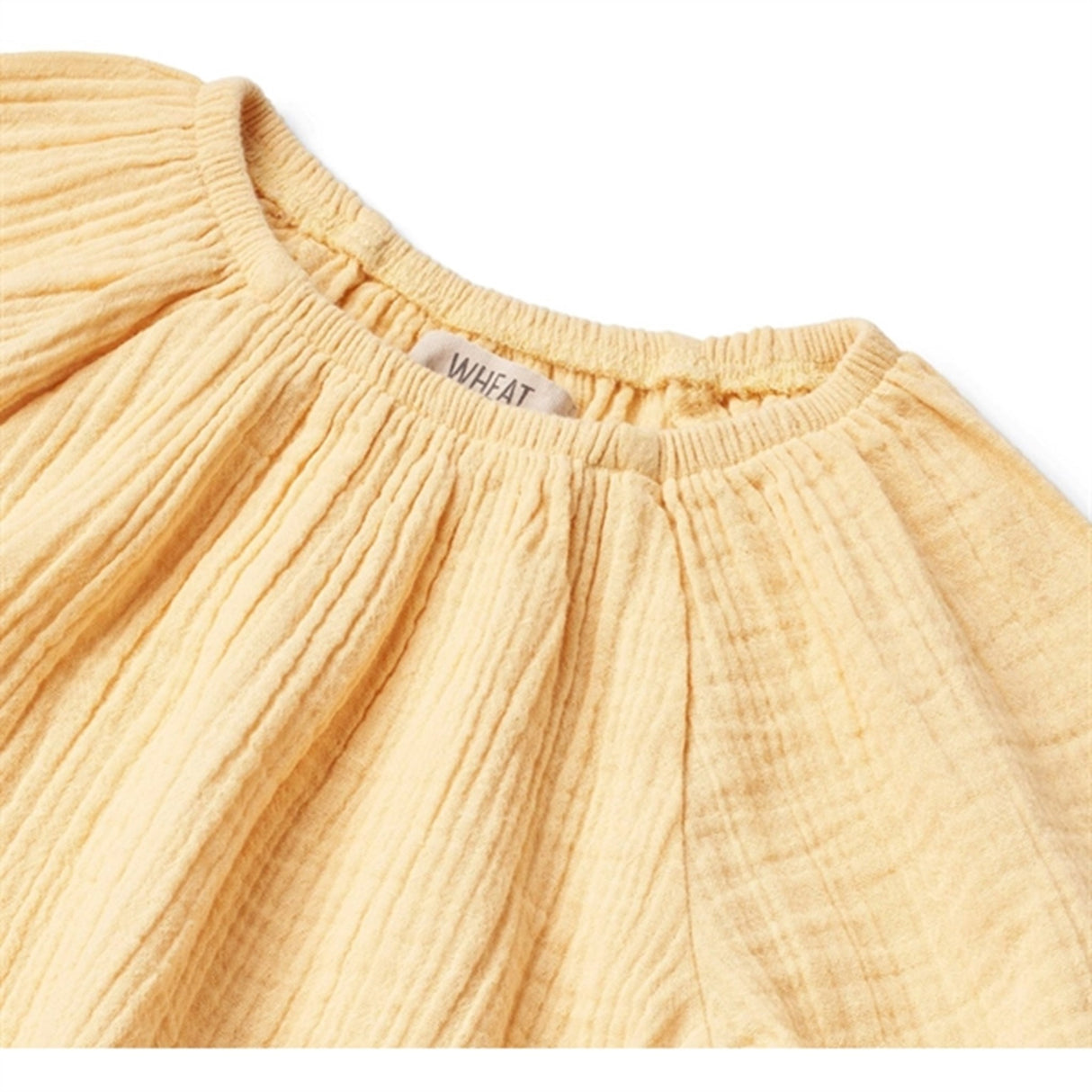 Wheat Pale Apricot Genser Merle