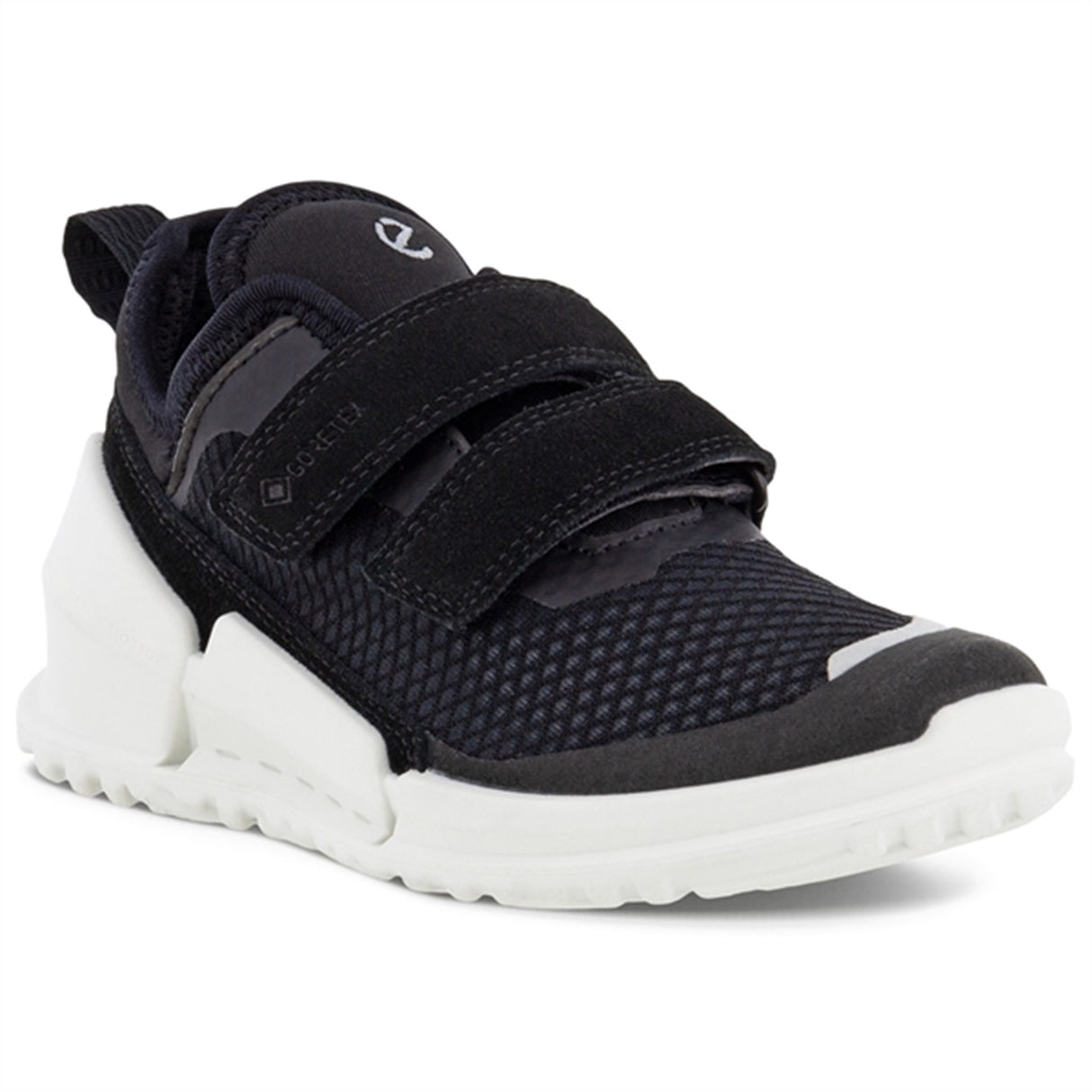 Ecco Biom Sneakers Black