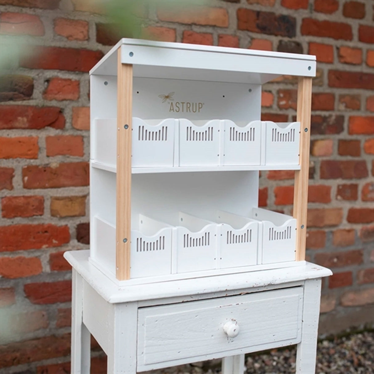 by Astrup Hesteboks til Vegg til Kæphest