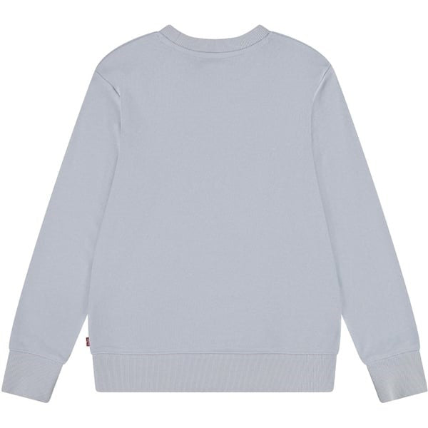 Levi's French Terry Batwing Collegegenser Niagra Mist 4