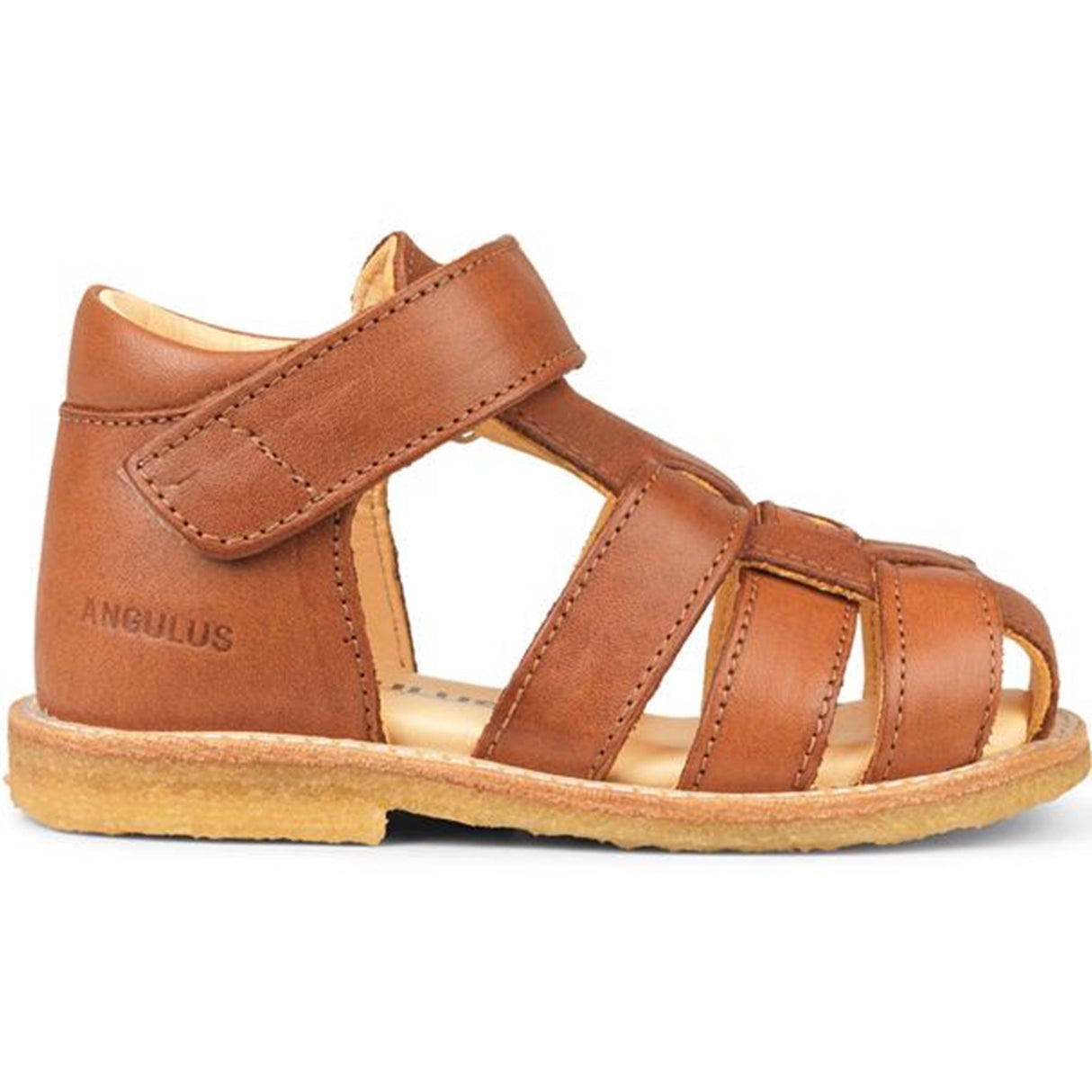 Angulus Begyndersandal M. Velcro Cognac
