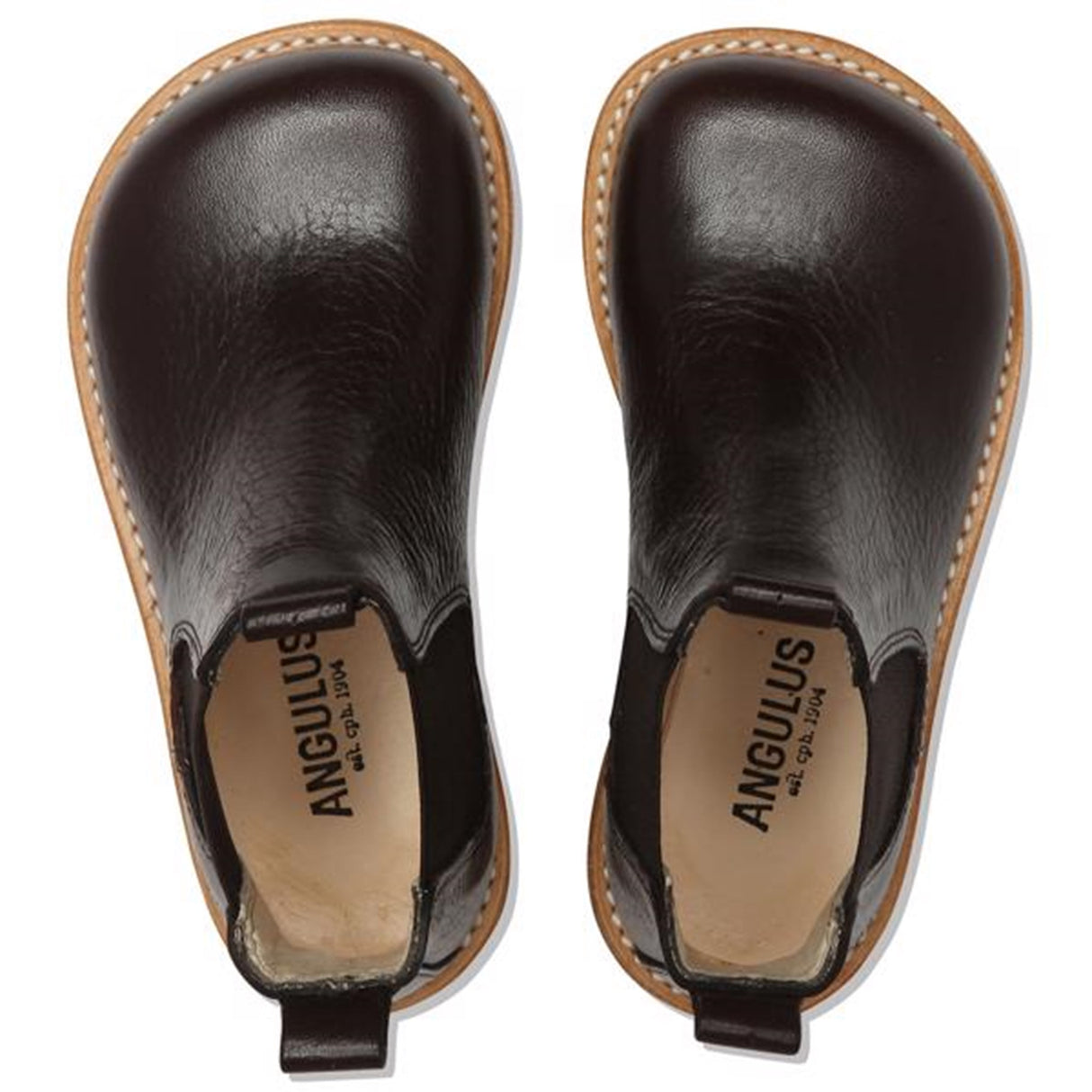 Angulus Chelsea Støvle Sort 2192-101-0268-2504