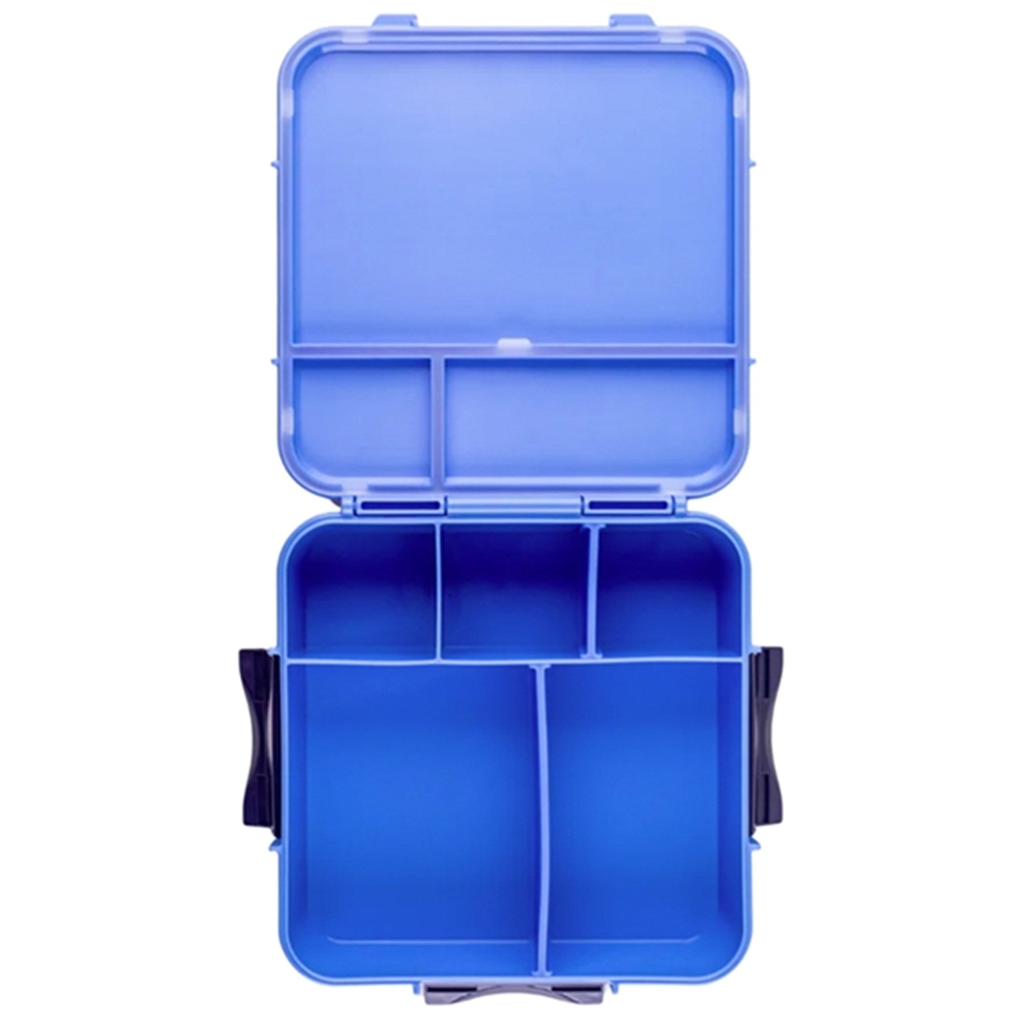 Little Lunch Box Co Bento 3+ Matboks Blueberry 4