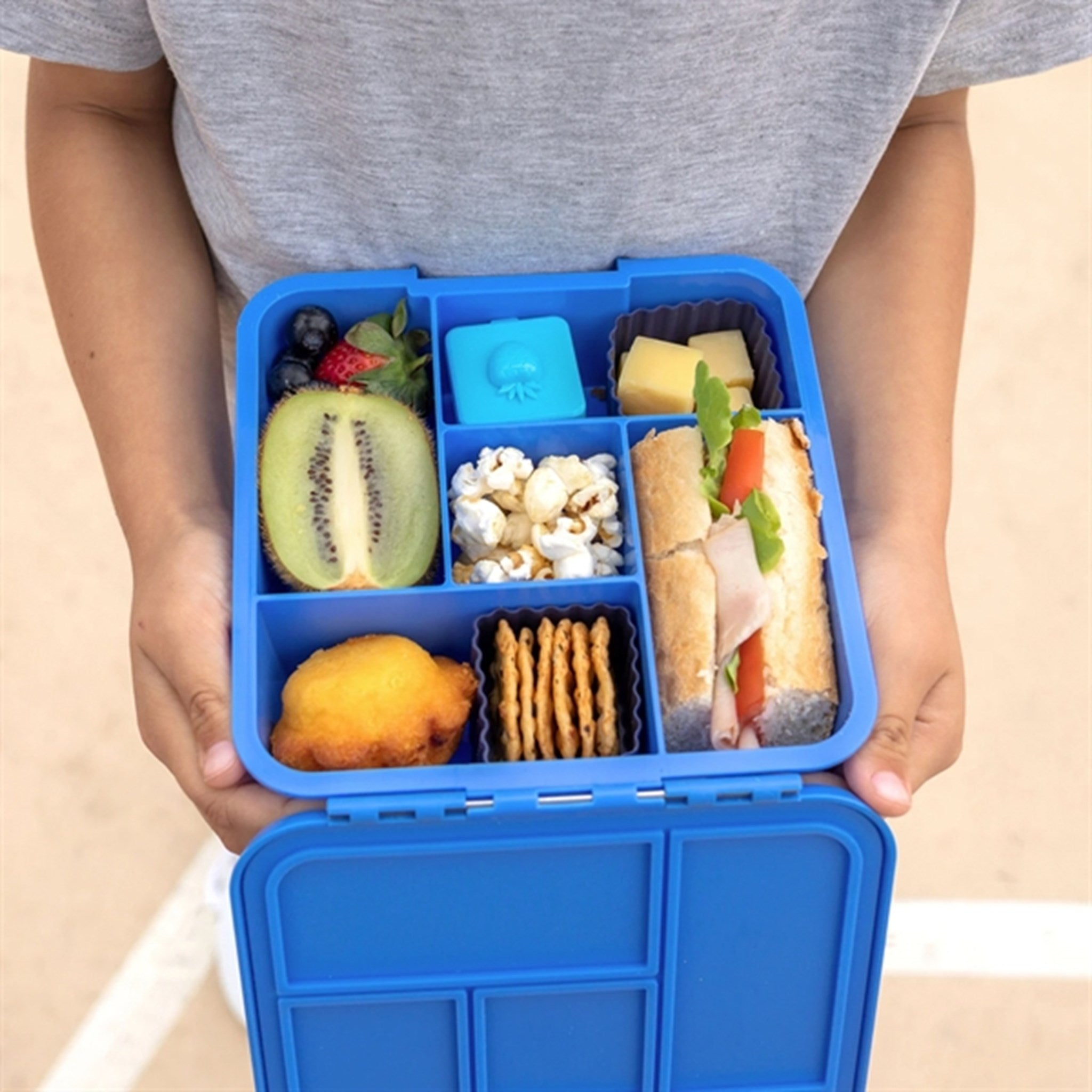 Little Lunch Box Co Bento 5 Matboks Blueberry 2