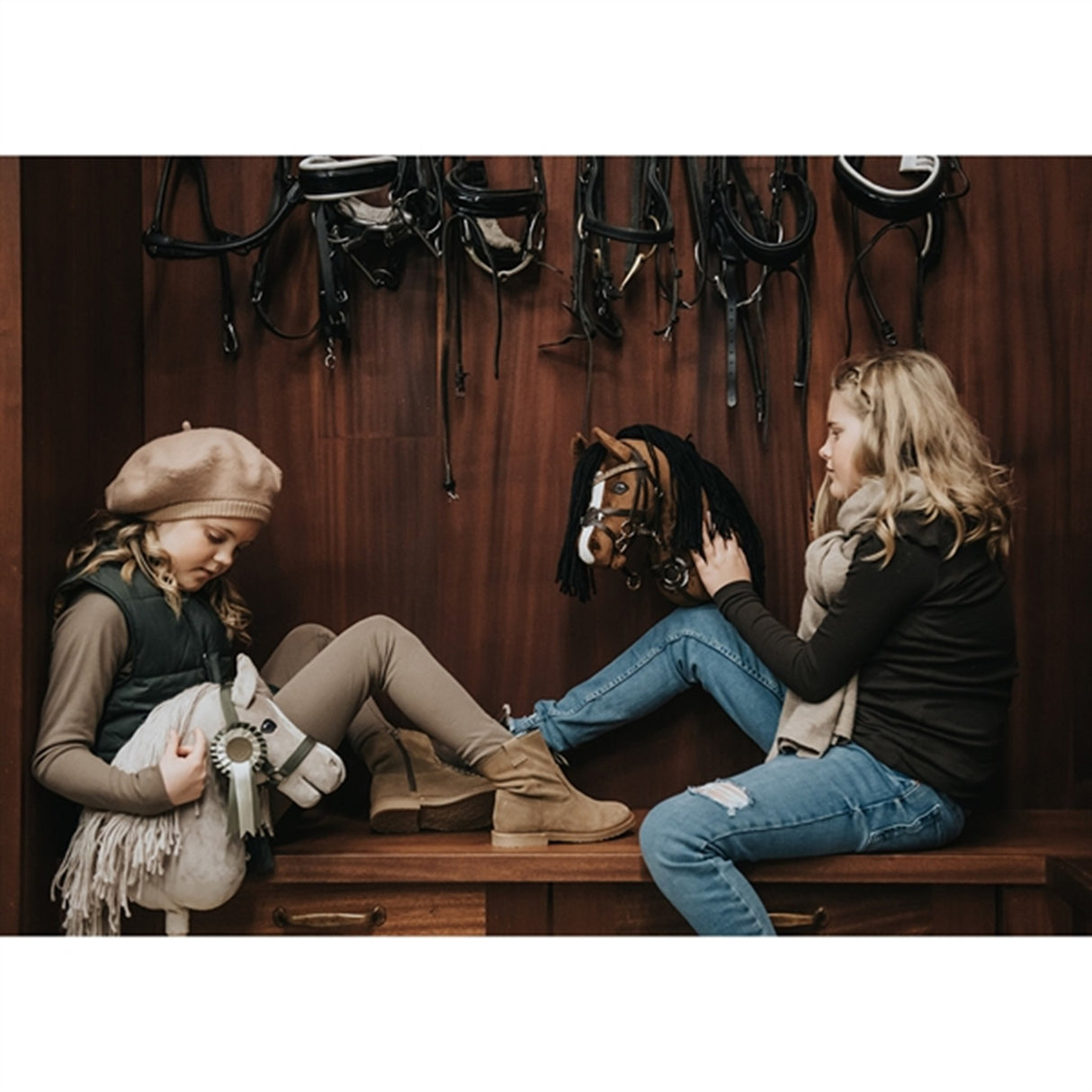 Cheval Roi Gal Hest Charlie