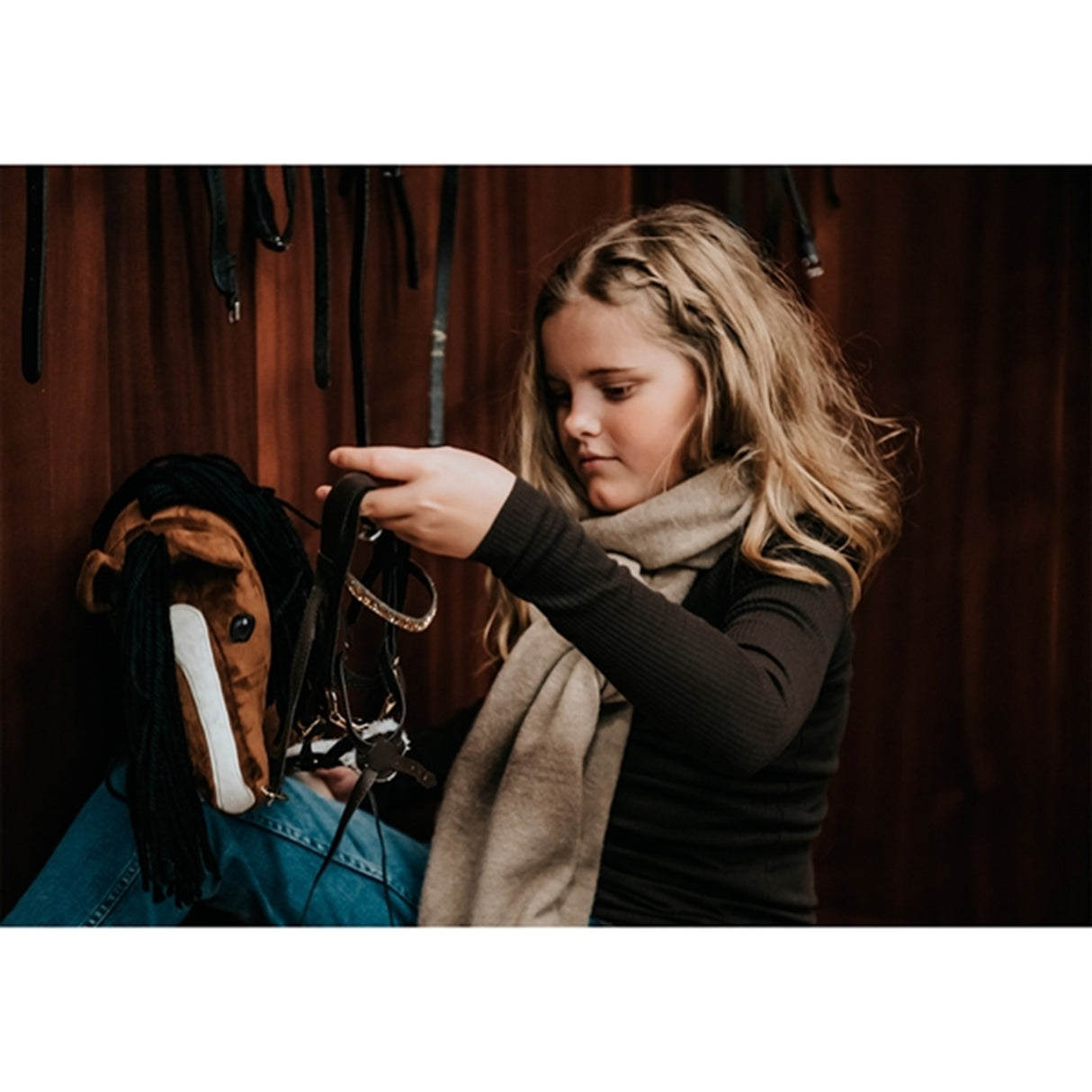 Cheval Roi Gal Hest Charlie