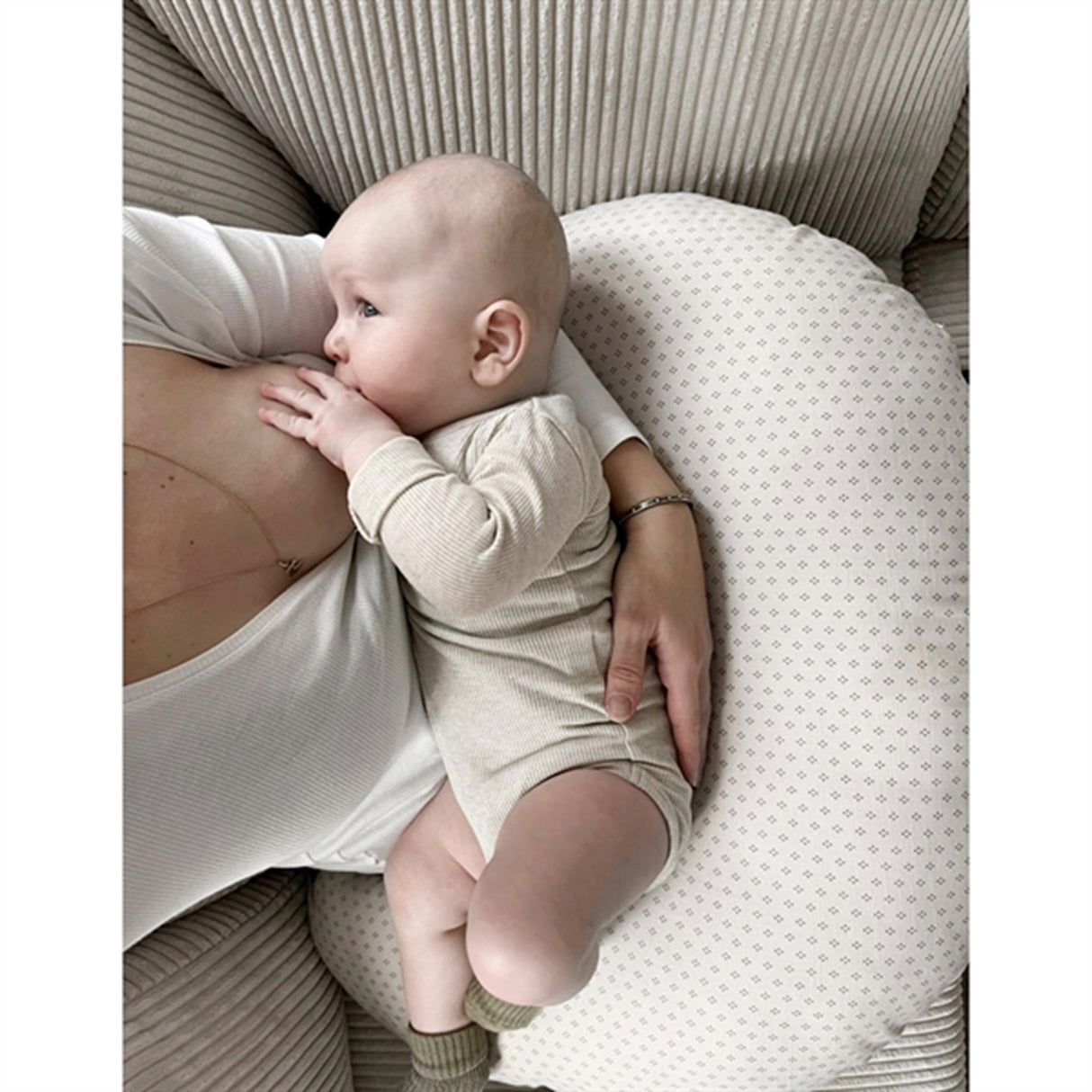 Pine Cone Ammepute Nora Natura Dot