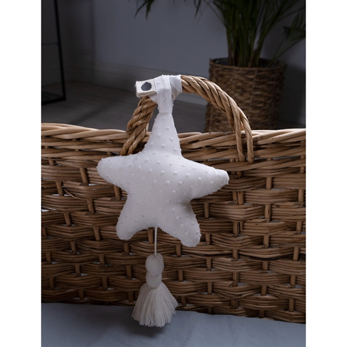 Pine Cone Ellie Star Musikuro Cloud