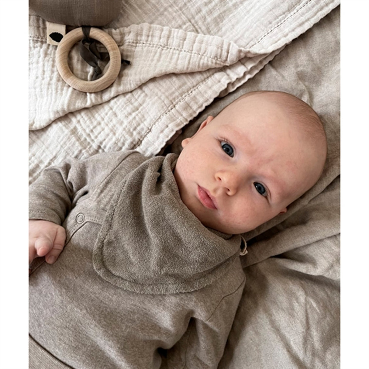 Pine Cone Lui Smekke Mushroom