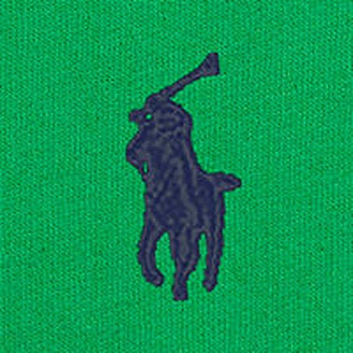 Polo Ralph Lauren Boys Collegegenser Preppy Green