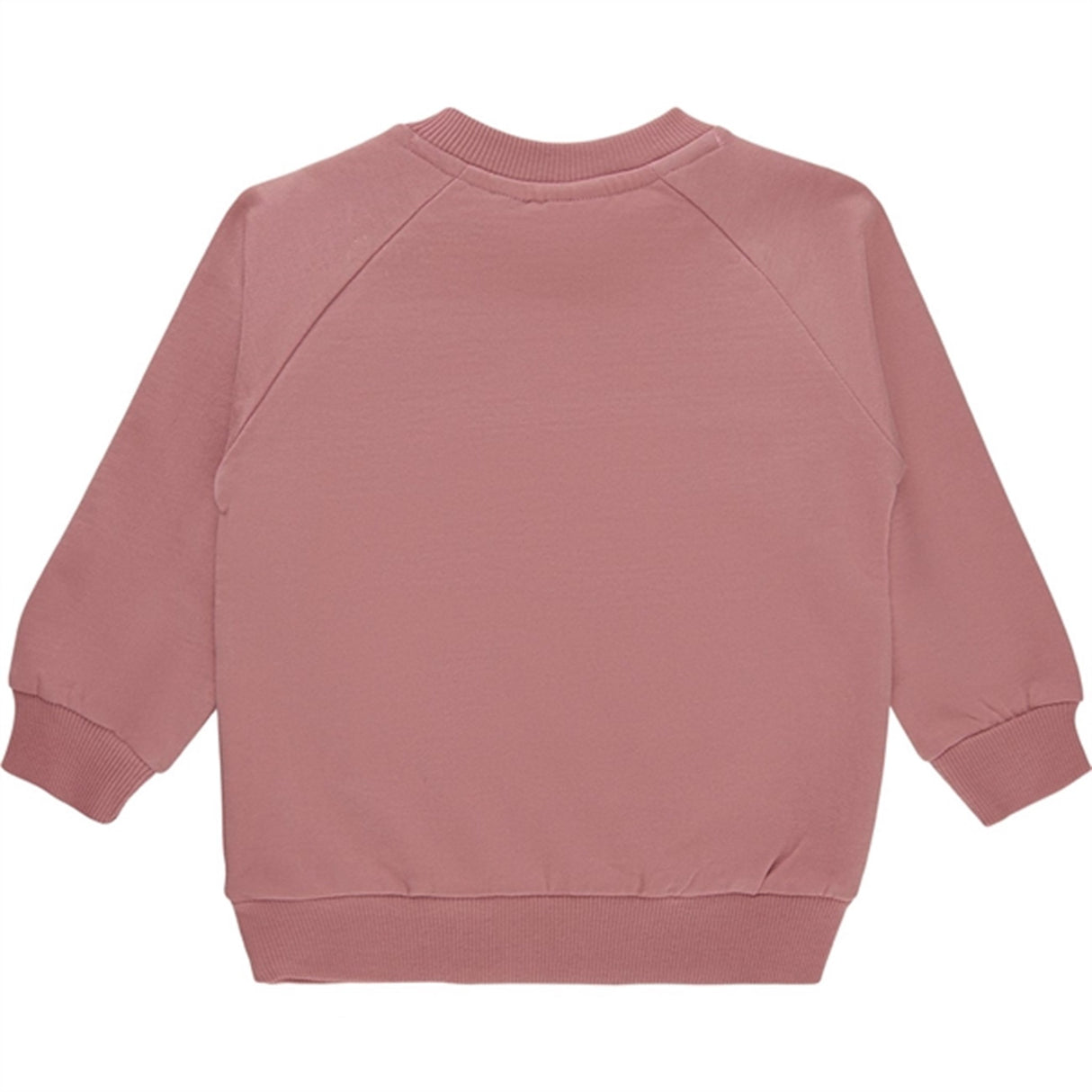 THE NEW Siblings Nostalgia Rose Tweety Collegegenser