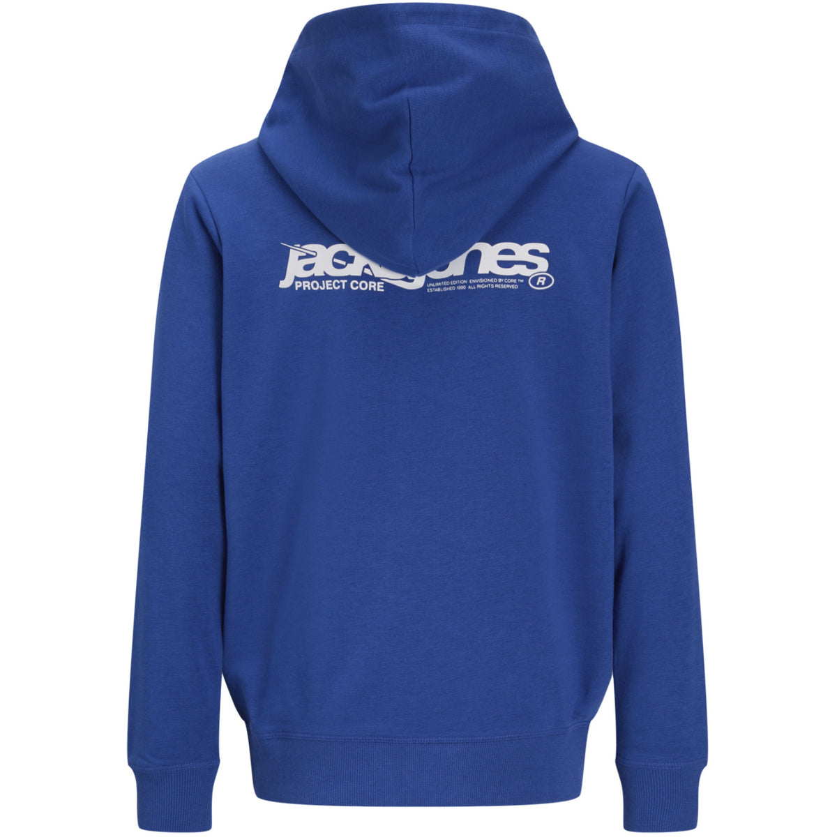 Jack & Jones Beaucoup Blue Jwhunion Print Sweat Hette Jnr