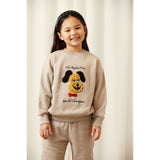 Mini Rodini Grey Rodini Prix Chenille Collegegenser