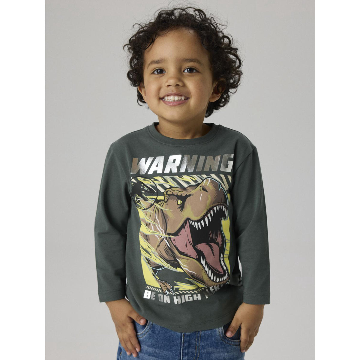 Name It Urban Chic Nmmjim Jurassic Ls Nreg Topp Box Noos Sky