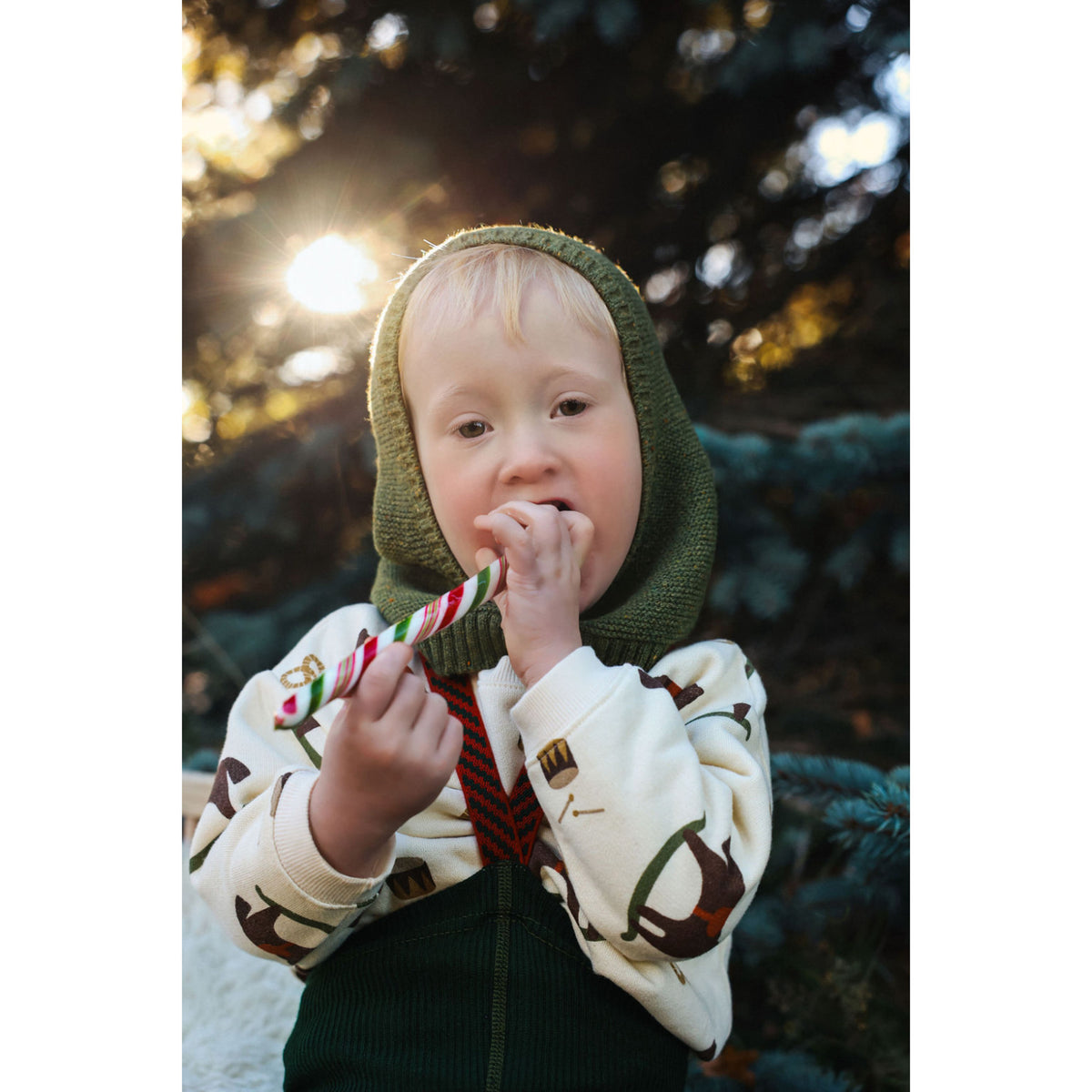 Silly Silas Footless Bomull Strømpebukser Med Braces Dark Forest Green Christmas Patterned