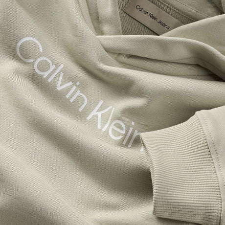 Calvin Klein Pelican Inst. Logo Reg. Terry Hoodie 2