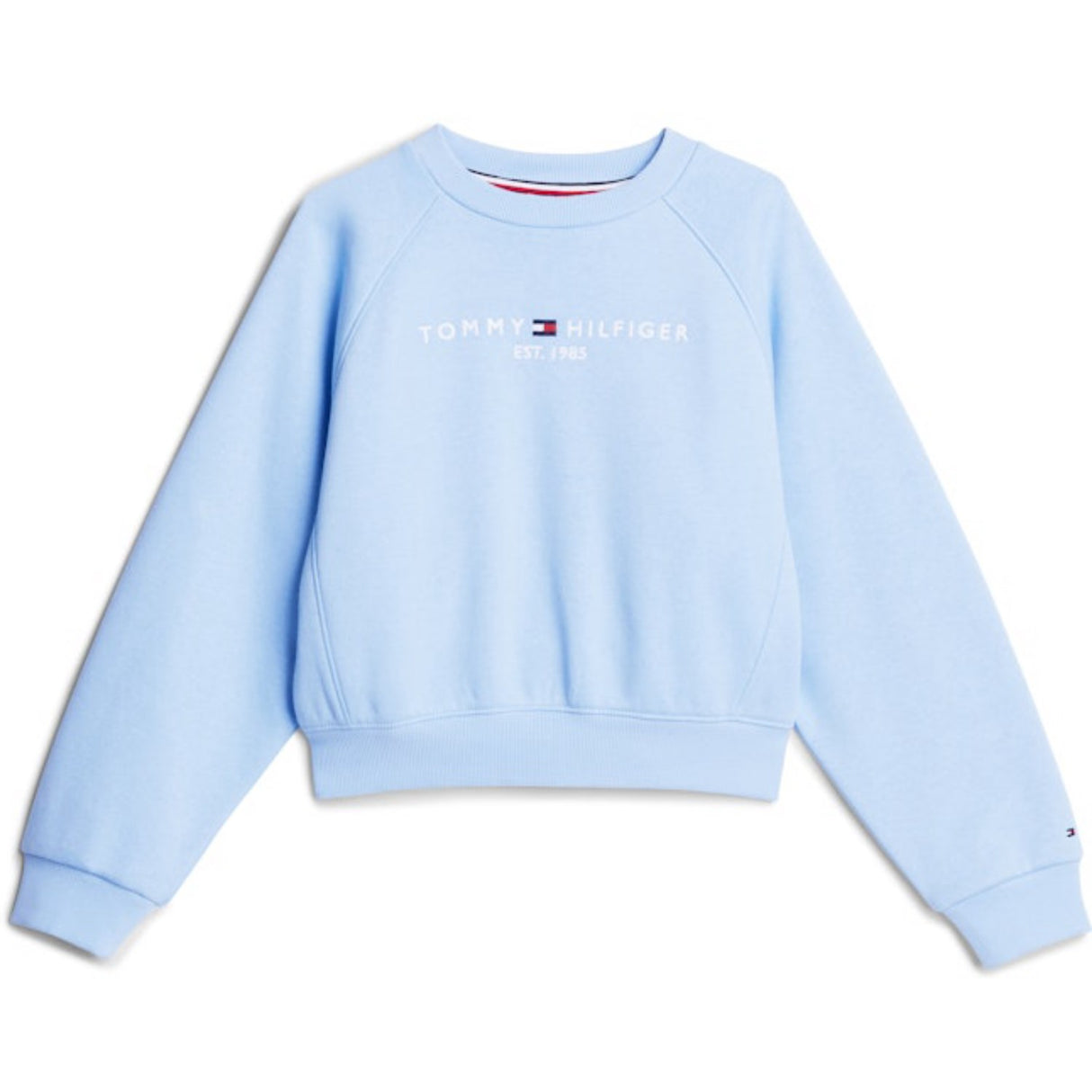 Tommy Hilfiger Vessel Blue Essential Embroidered Fleece Collegegenser