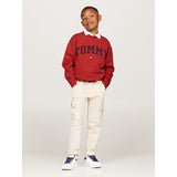 Tommy Hilfiger Dark Magma Varsity Embroidery Collegegenser 2