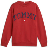 Tommy Hilfiger Dark Magma Varsity Embroidery Collegegenser