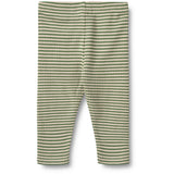 Wheat Elm Green Stripe Leggings Jules