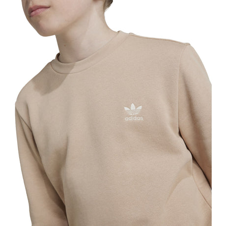 adidas Originals Magbei  Crew Collegegenser 2