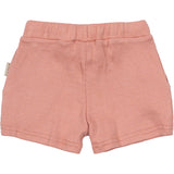 Petit Piao Sea Shell Pink Shorts Modal