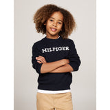 Tommy Hilfiger Desert Sky Monotype Regular Sweater 3