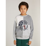 Tommy Hilfiger Grey Heather Mix Monotype Spliced Printed Cn Collegegenser 2